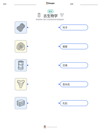 古生物学 可打印工作表预览
