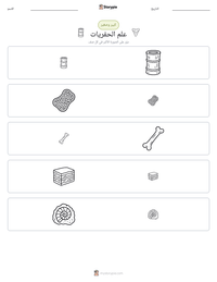 معاينة ورقة العمل القابلة للطباعة علم الحفريات