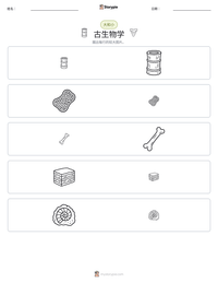 古生物学 可打印工作表预览