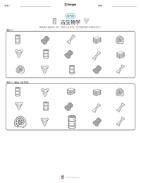 古生物学 可打印工作表预览