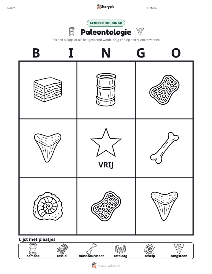 Afbeelding Bingo