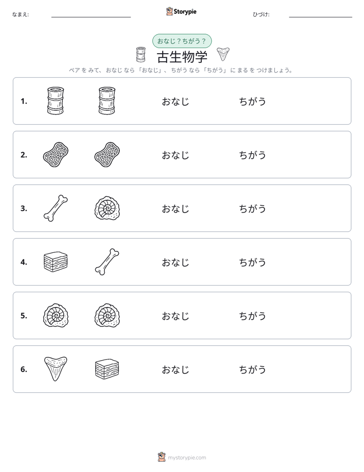 同じか違うか