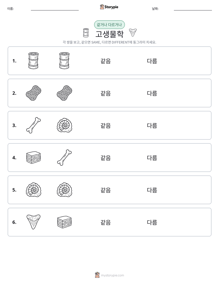 같은 것 또는 다른 것