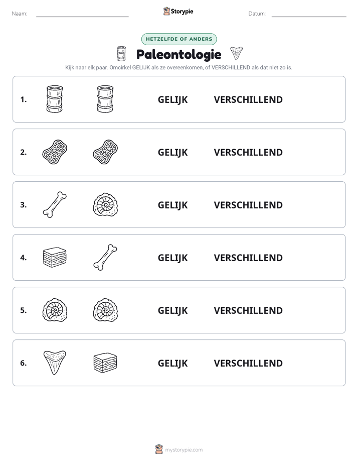 Zelfde of Verschillend