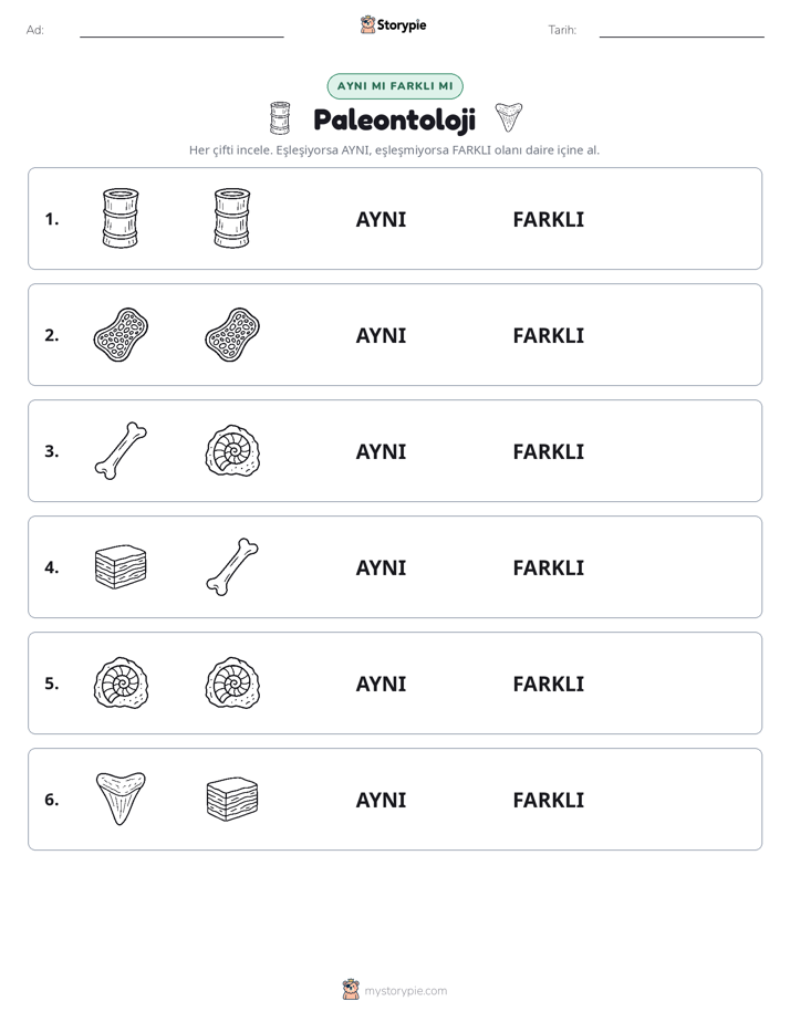 Aynı mı Farklı mı