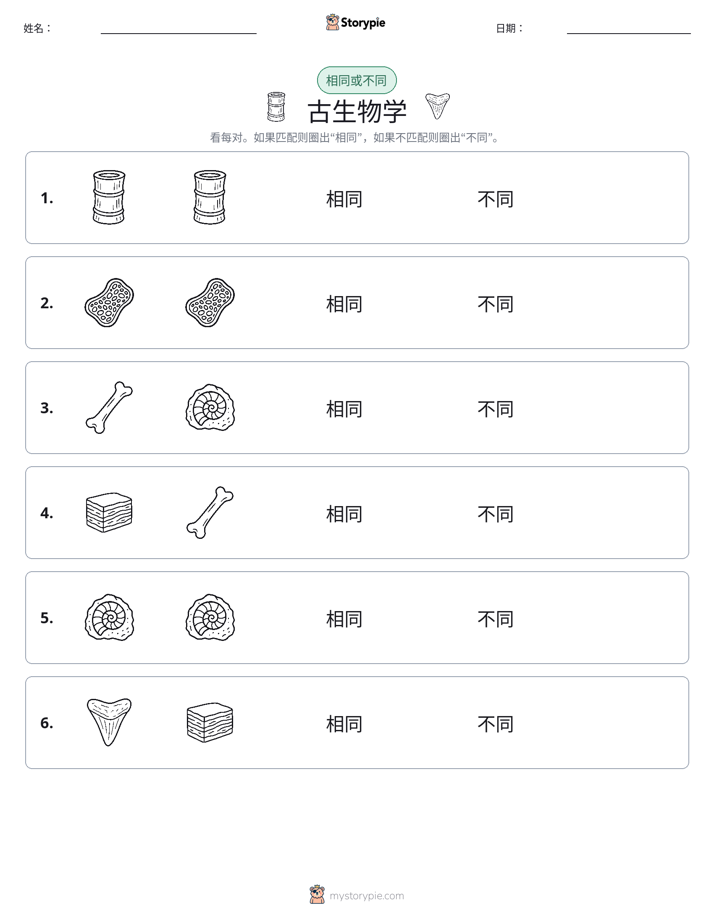 相同或不同