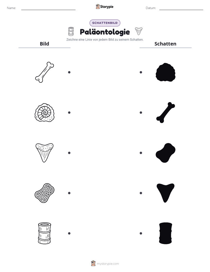 Schattenmatch