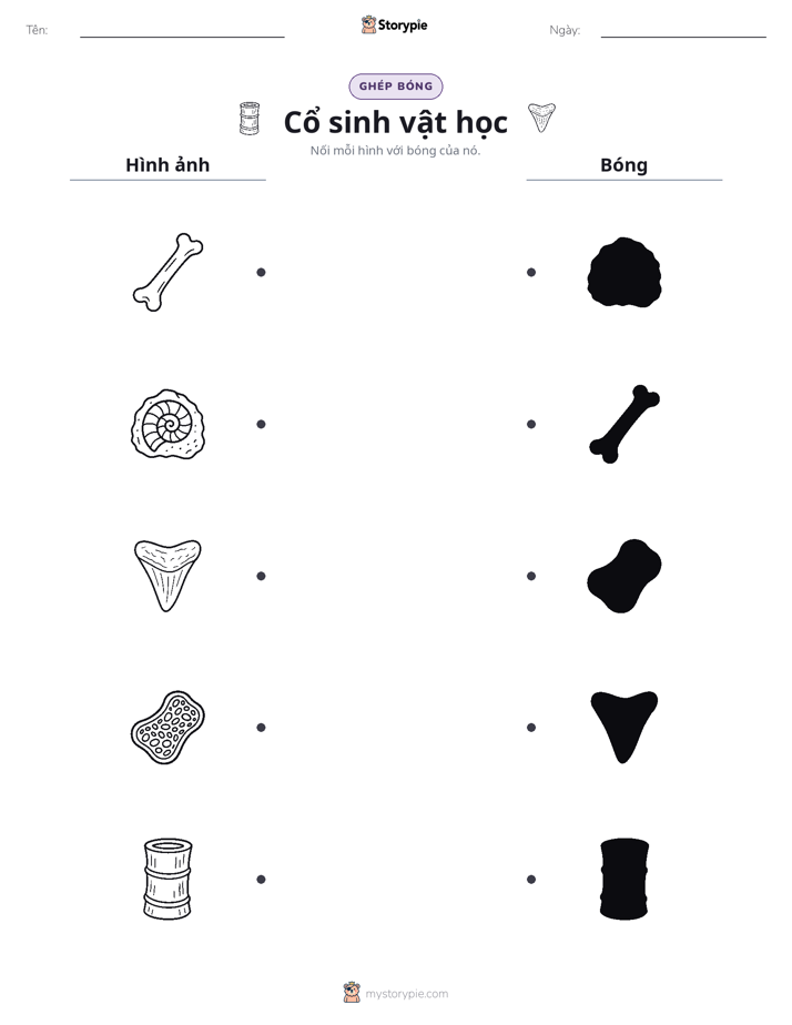 Ghép Hình Bóng