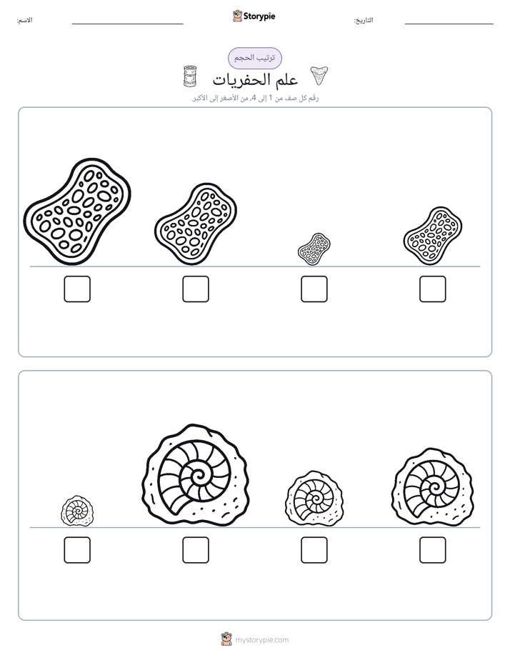 ترتيب الحجم