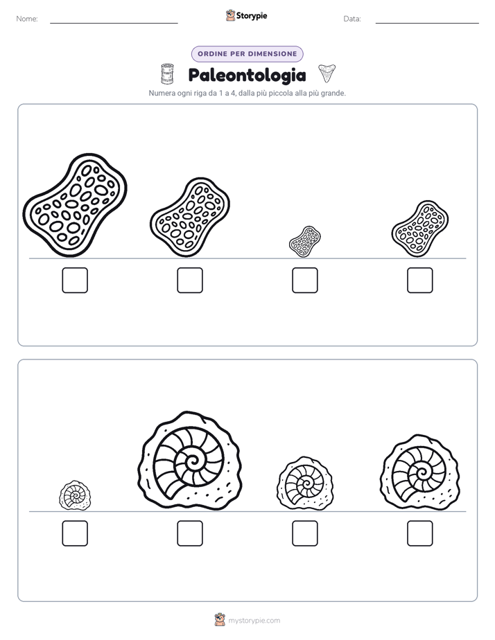 Ordine di Dimensione