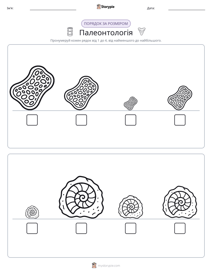 Порядок Розміру