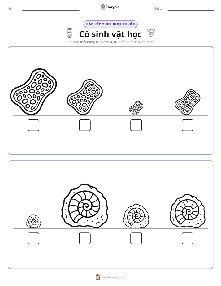 Thứ Tự Kích Thước