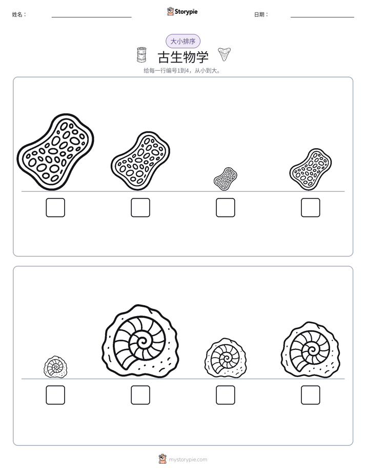 大小排序