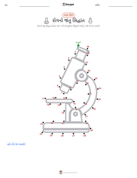 રોગનો જંતુ સિદ્ધાંત છાપી શકાય તેવી કાર્યપત્રક પૂર્વદર્શન