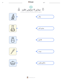 بیماری کا جرثومی نظریہ پرنٹ کرنے کے قابل ورکشیٹ کا پیش نظارہ