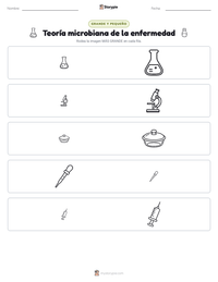 Vista previa de la hoja de trabajo imprimible de Teoría microbiana de la enfermedad