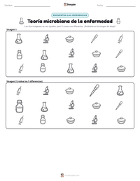 Vista previa de la hoja de trabajo imprimible de Teoría microbiana de la enfermedad