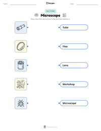 Microscope printable worksheet for kids