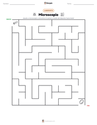 Vista previa de la hoja de trabajo imprimible de Microscopio