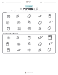 Microscope printable worksheet preview