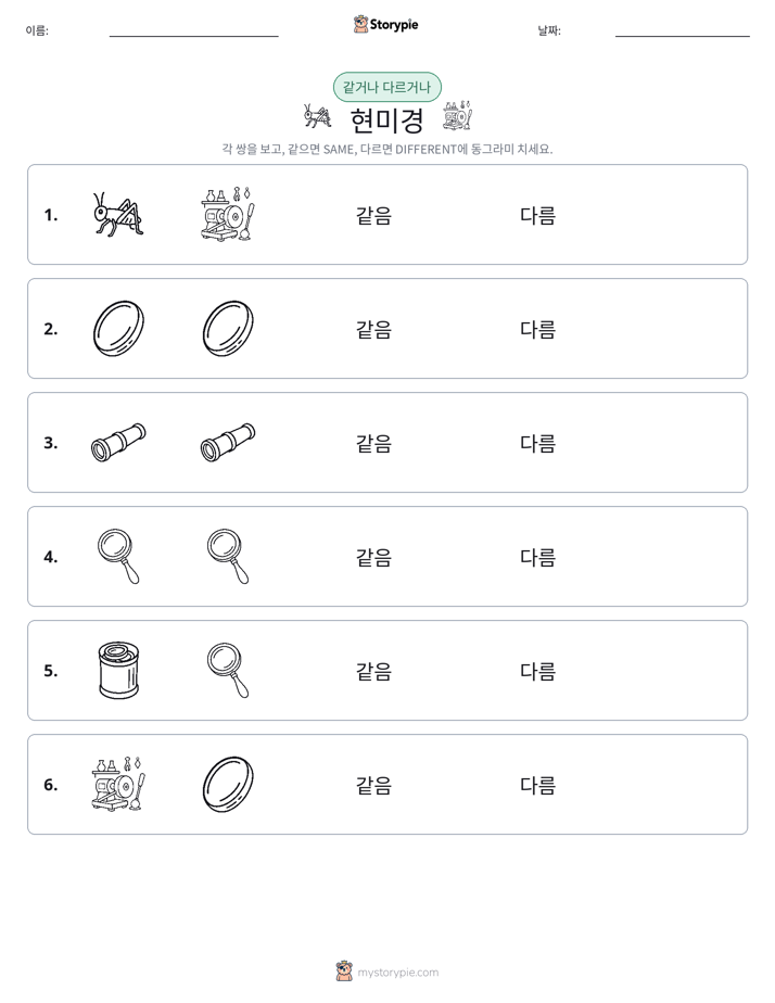 같은 것 또는 다른 것