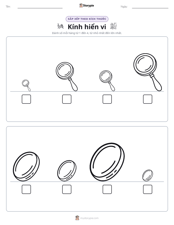 Thứ Tự Kích Thước