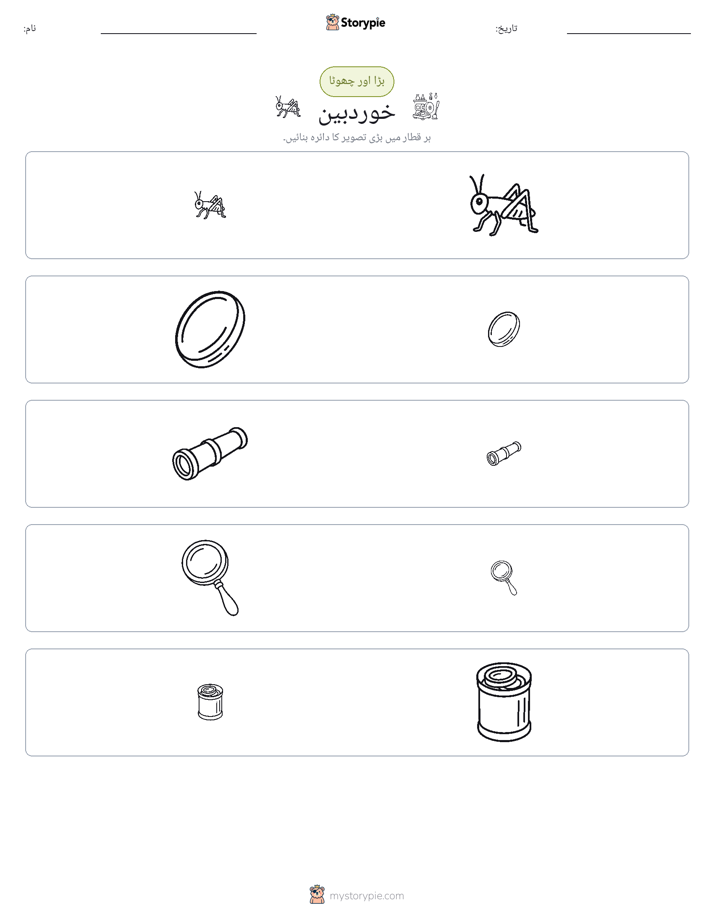 ترتیب دینا