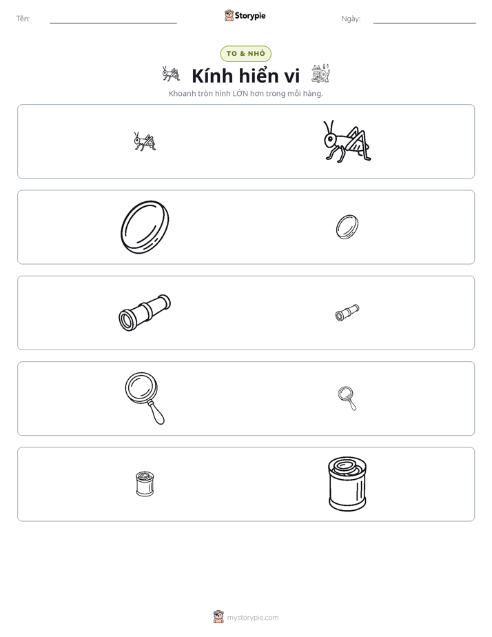 Phân Loại