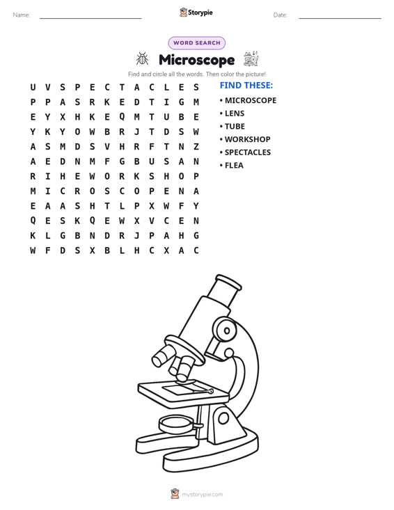 Word Search