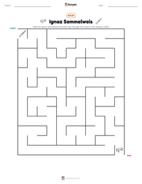 Ignaz Semmelweis printable worksheet preview