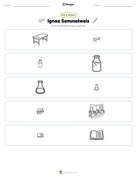 Ignaz Semmelweis printable worksheet preview