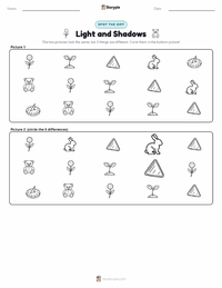 Light and Shadows printable worksheet preview