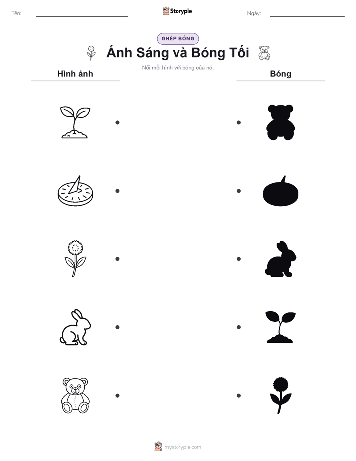 Ghép Hình Bóng
