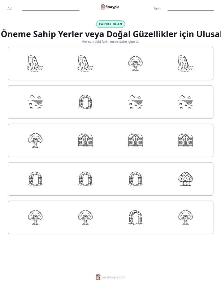 Farklı Olanı Bul