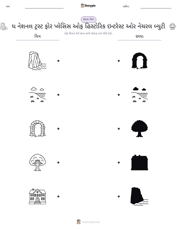 શેડો મેચ