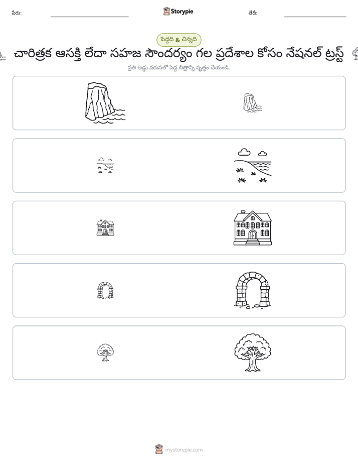 వర్గీకరణ