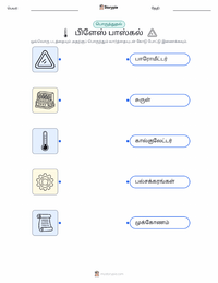 பிளேஸ் பாஸ்கல் அச்சிடக்கூடிய வேலைப்பதிவின் முன்னோட்டம்
