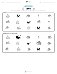 Sonar printable worksheet preview