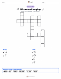 Ultrasound Imaging printable worksheet preview