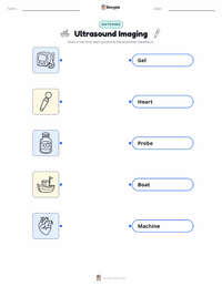 Ultrasound Imaging printable worksheet preview
