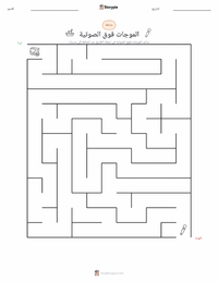 معاينة ورقة العمل القابلة للطباعة الموجات فوق الصوتية