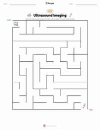 Ultrasound Imaging printable worksheet preview