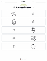 Ultrasound Imaging printable worksheet preview