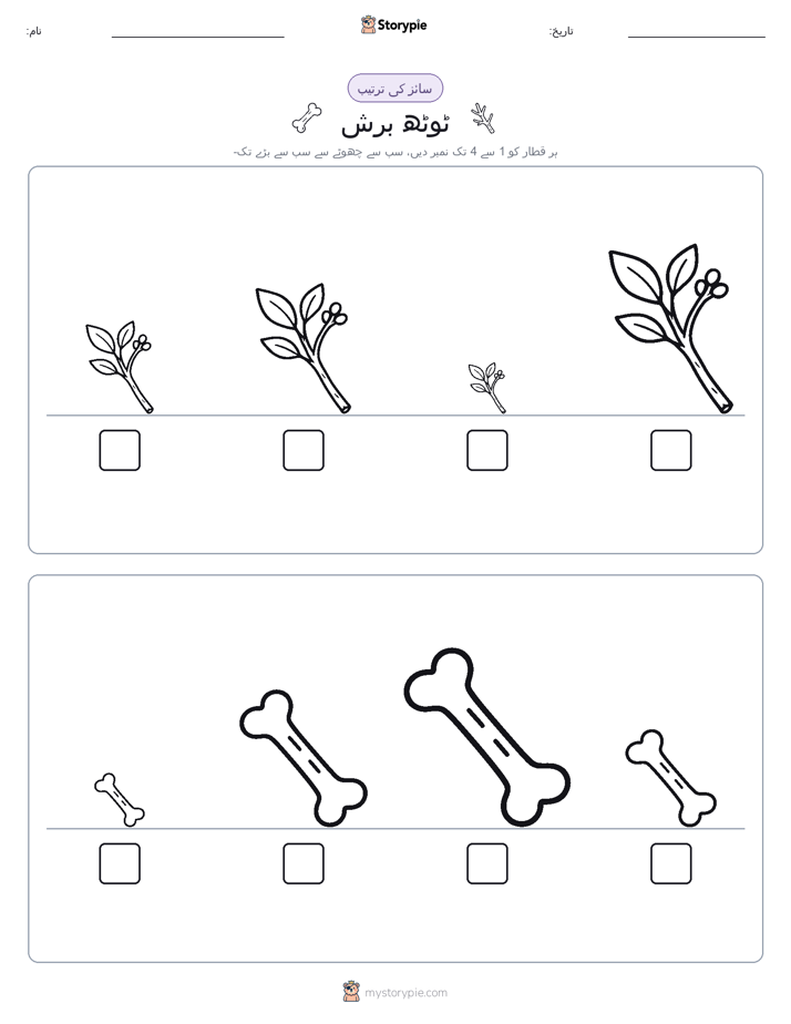 سائز کی ترتیب