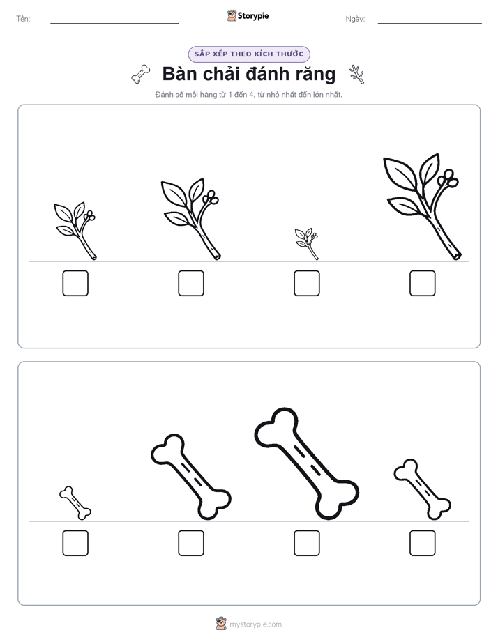 Thứ Tự Kích Thước