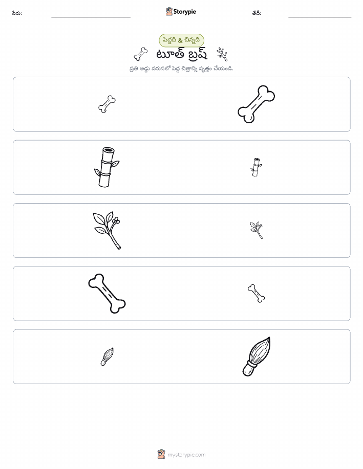 వర్గీకరణ