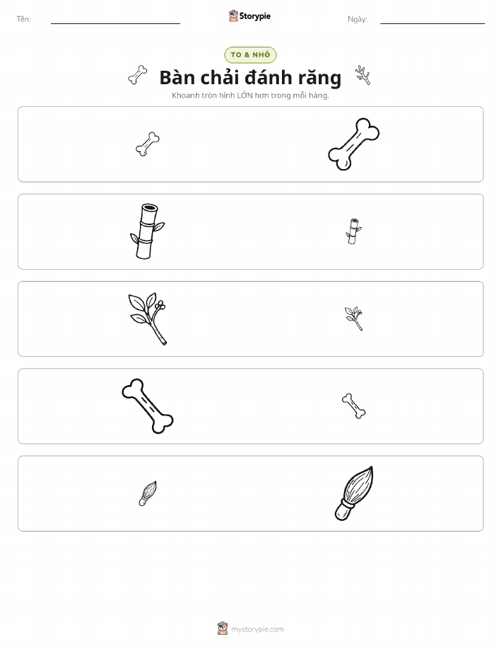 Phân Loại