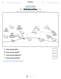 Echolocation printable worksheet preview
