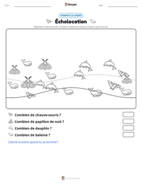 Aperçu de la feuille de travail imprimable Écholocation