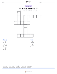 Echolocation printable worksheet preview